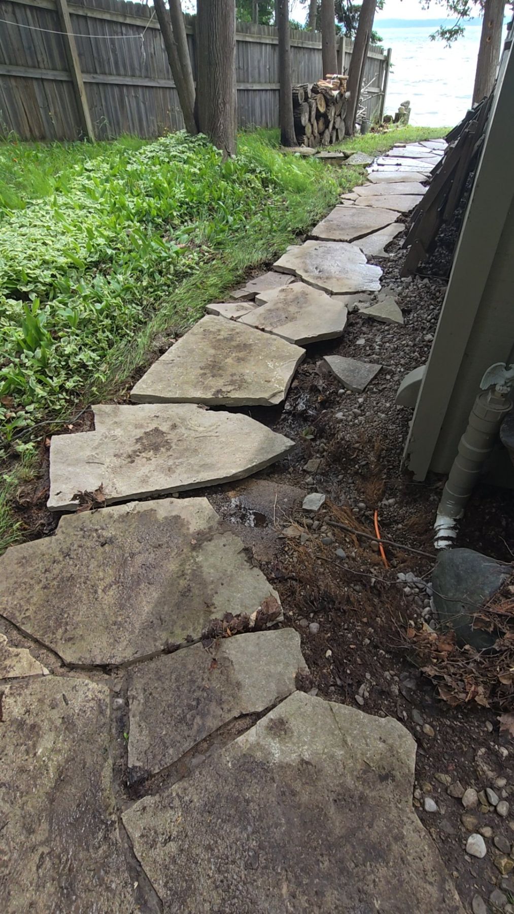 Water Damage Restoration